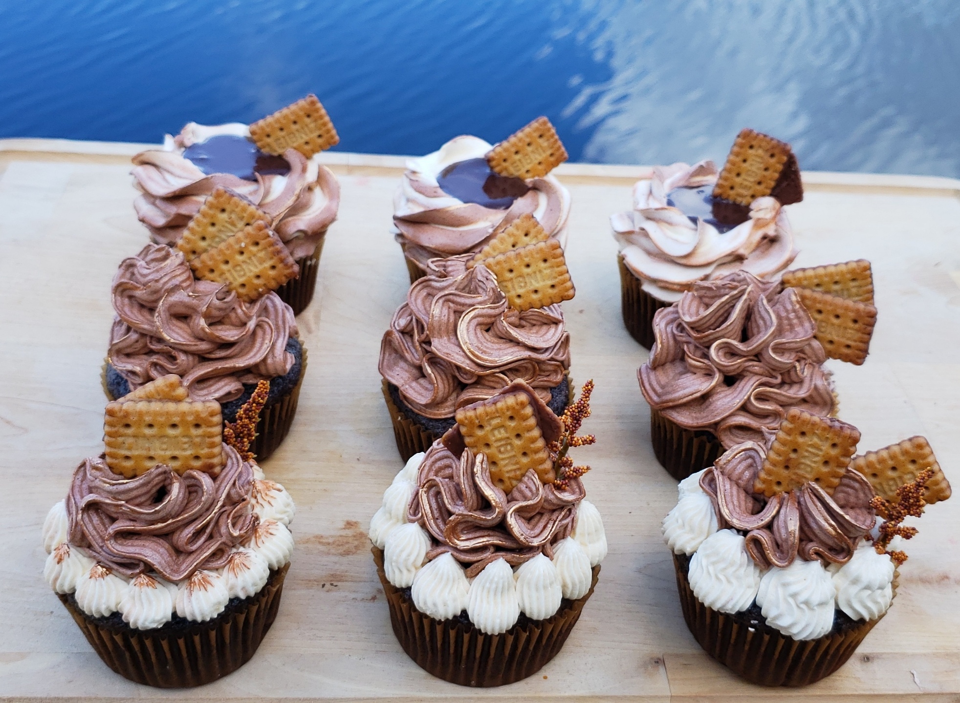 Chocolate Cupcakes